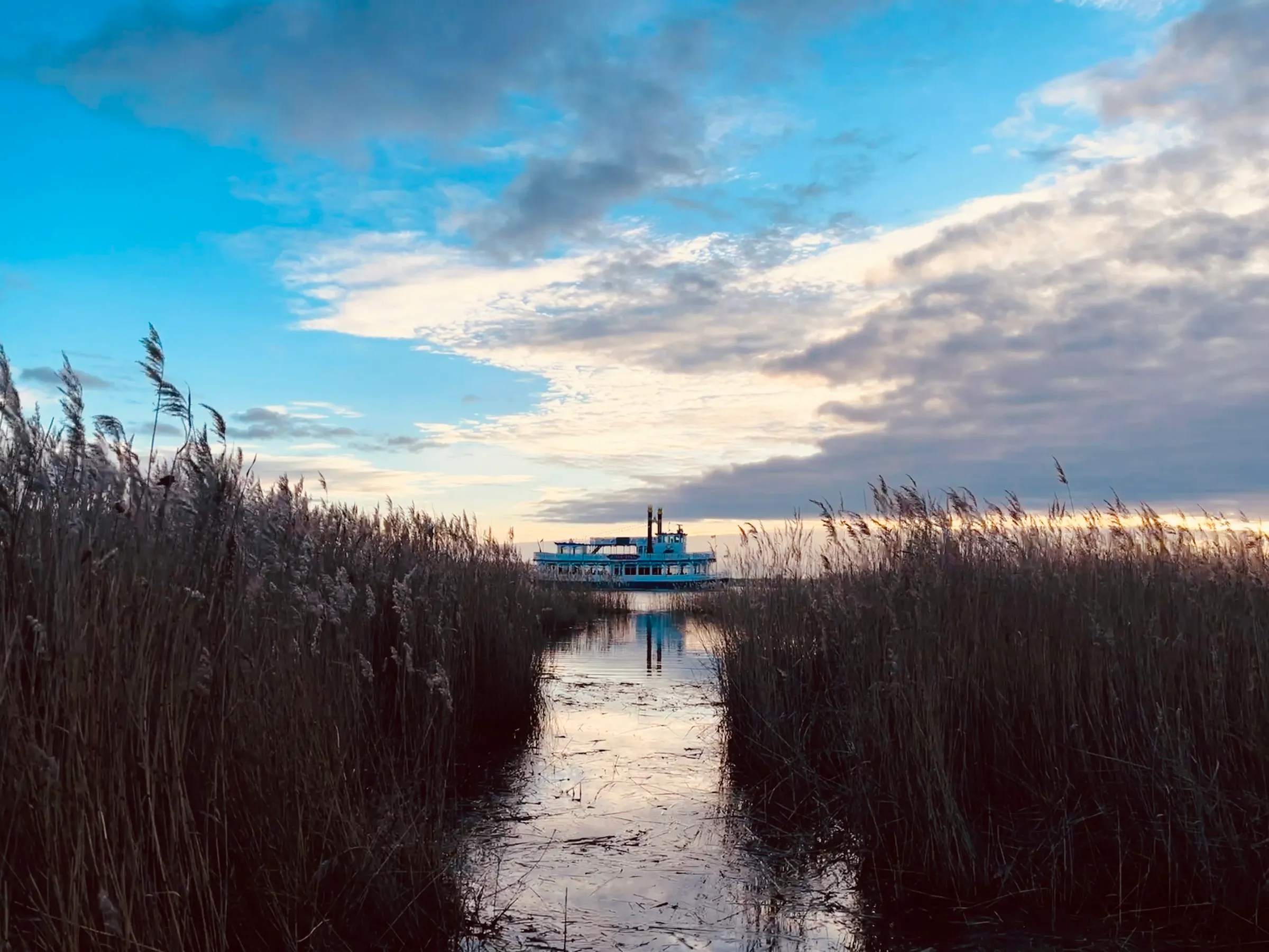 Ausflugsschiff auf dem Bodden zwischen hohem Schilf