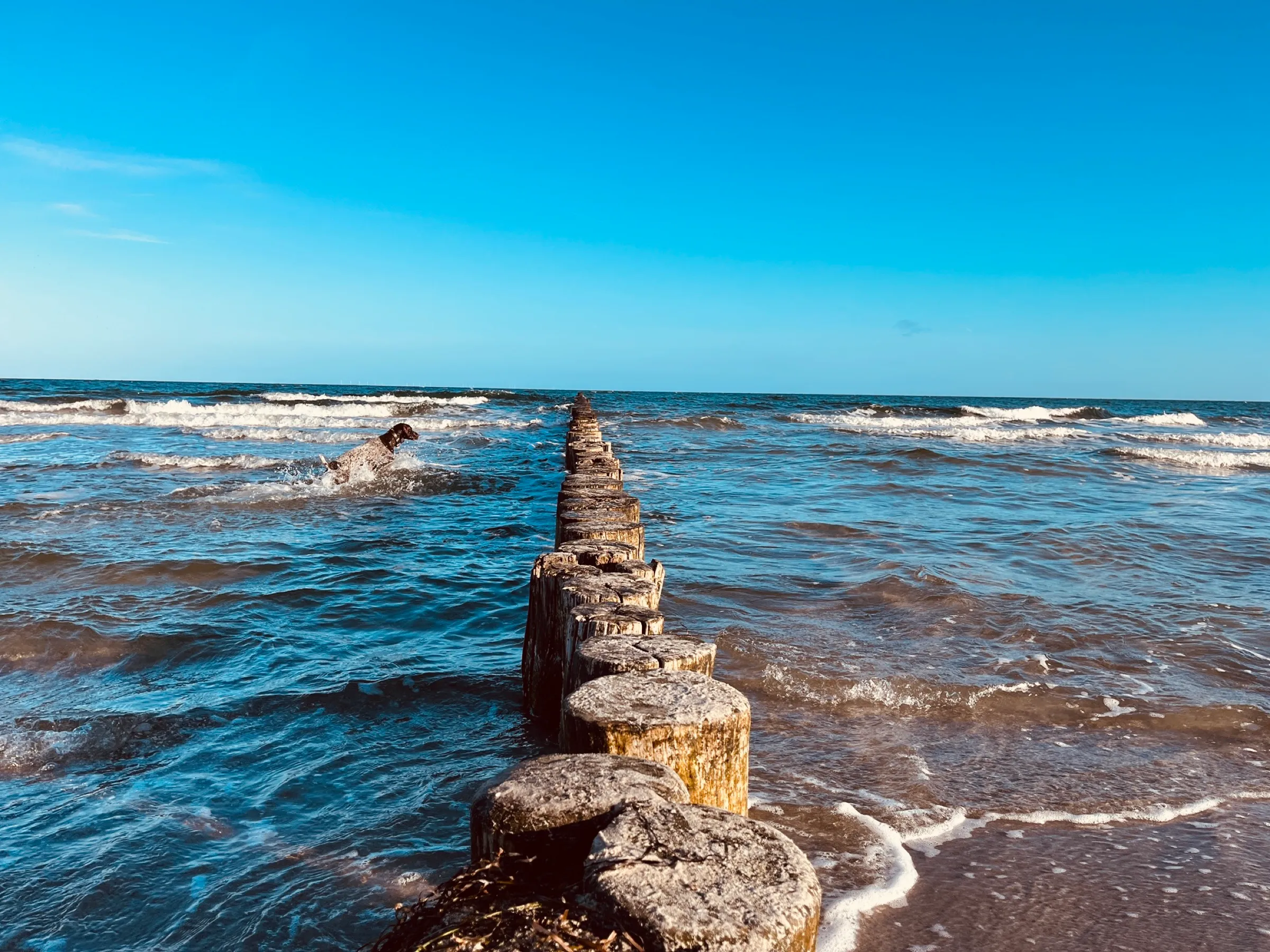 Alte Holzbuhne führt ins Meer, blaue Ostsee